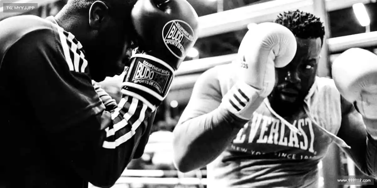 行业领先的理由